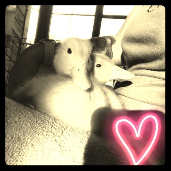 Meet your Posher, Kacie - Picture 1 of 1